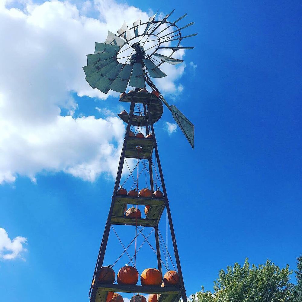 Windmill Windmill
