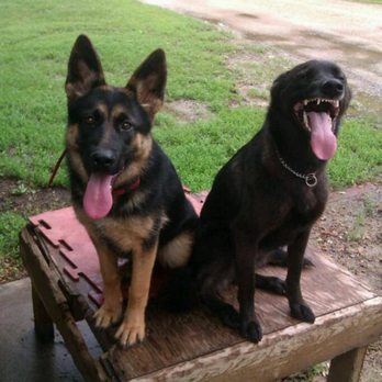 Kreuser Veterinary Clinic - Asia and Sasha saying thank you for keeping me healthy! - Veterinarians Near Me - Jordan, Minnesota Kreuser Veterinary Clinic - Asia and Sasha saying thank you for keeping me healthy! - Veterinarians Near Me - Jordan, Minnesota