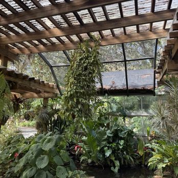 Eureka Springs Park - Trellis and greenhouse area - Parks Near Me - Tampa, Florida Eureka Springs Park - Trellis and greenhouse area - Parks Near Me - Tampa, Florida