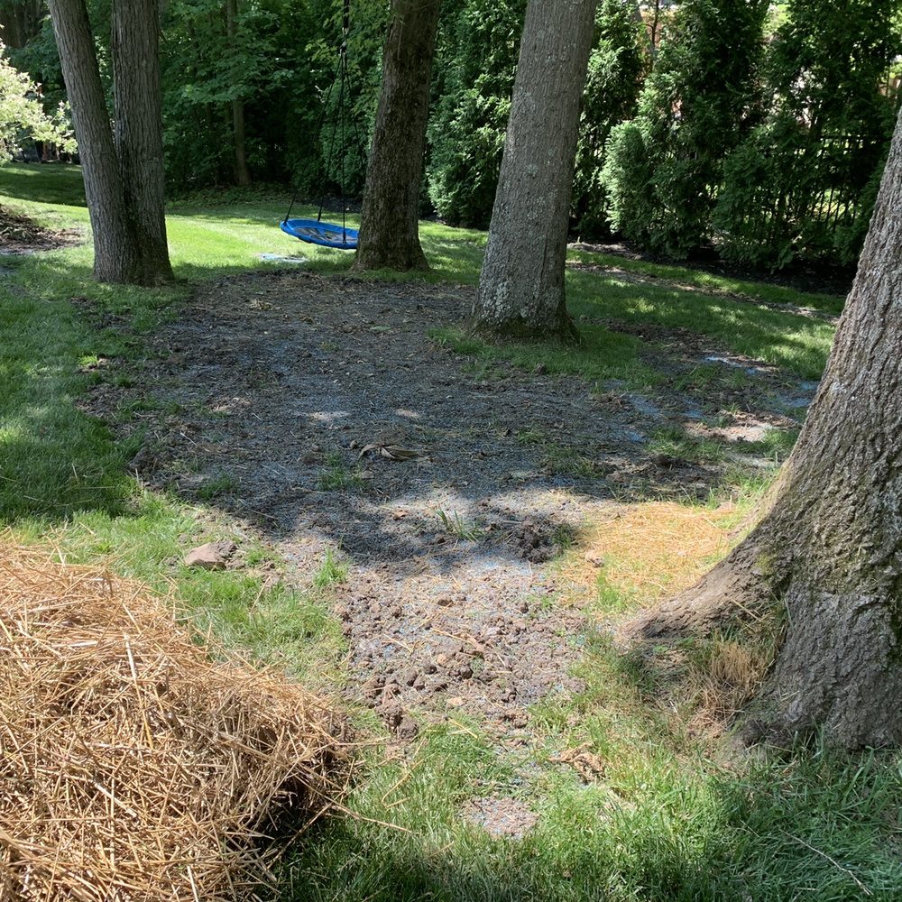 Sunscapes Hardscapes By Design - Patchy grass "fix" after 3 weeks of "growth" - Landscaping Near Me - Galena, Ohio Sunscapes Hardscapes By Design - Patchy grass "fix" after 3 weeks of "growth" - Landscaping Near Me - Galena, Ohio
