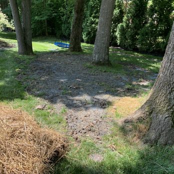 Sunscapes Hardscapes By Design - Patchy grass "fix" after 3 weeks of "growth" - Landscaping Near Me - Galena, Ohio Sunscapes Hardscapes By Design - Patchy grass "fix" after 3 weeks of "growth" - Landscaping Near Me - Galena, Ohio