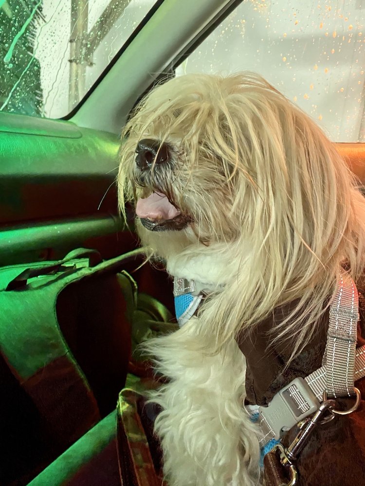 WHISTLE EXPRESS CAR WASH 43 Photos & 68 Reviews 10 Moreland Avenue