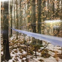 Bissell Maple Farm - Vacuum technology