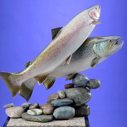 Gene Bahr's Wildlife Creations - Top: Steelhead Rainbow Trout, B.C. Canada Bottom: Sea Run Brown Trout, Argentina