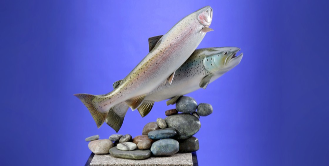 Gene Bahr's Wildlife Creations - taxidermy in Sebago, ME