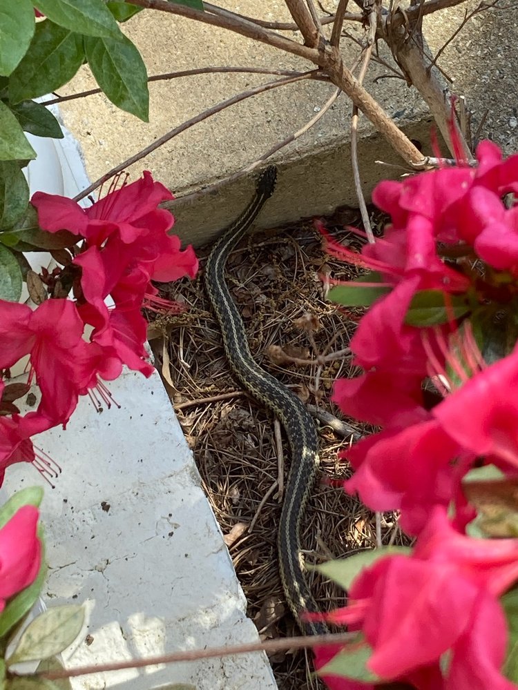 PESTX EXTERMINATING Updated September 2024 43 Photos & 14 Reviews