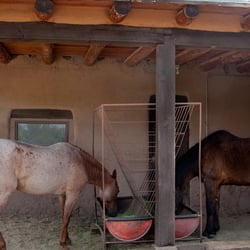 Harmony Ranch