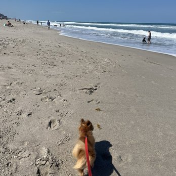 Canova Dog Beach - Dog Parks Near Me - Indialantic, Florida