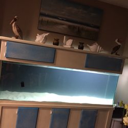 Fish N Tanks