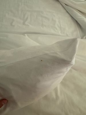 Maison 140 Beverly Hills by null