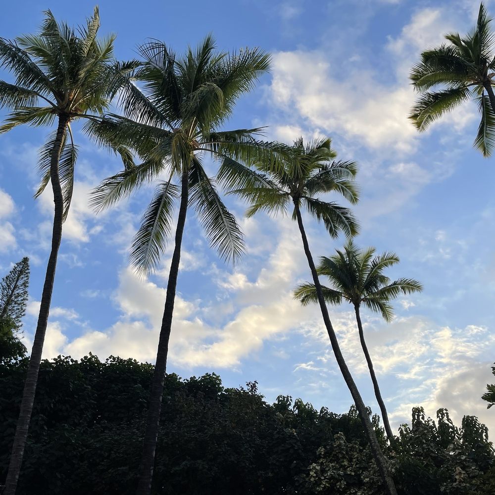 Hale Koa Luau - Performing Arts Near Me - Honolulu, Hawaii