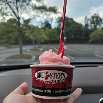 Bruster's Real Ice Cream - Small Cup of Strawberry Kiwi Ice - Desserts Near Me - Odenton, Maryland Bruster's Real Ice Cream - Small Cup of Strawberry Kiwi Ice - Desserts Near Me - Odenton, Maryland