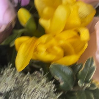 Newport Beach Flora - Same - Florists Near Me - Newport Beach, California Newport Beach Flora - Same - Florists Near Me - Newport Beach, California