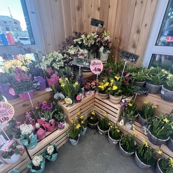 Trader Joe's - Grocery Near Me - Yucaipa, California