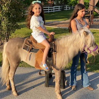 Sarah's Pony Rides - My daughter loves Ponys thanks again - Horseback Riding Near Me - Willow Springs, Illinois