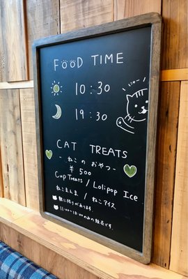 猫カフェMOCHA 秋葉原店 - Updated June 2025 - 208 Photos & 29