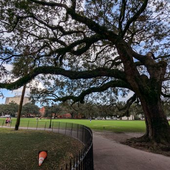 Forsyth Park - Parks Near Me - Savannah, Georgia Forsyth Park - Parks Near Me - Savannah, Georgia