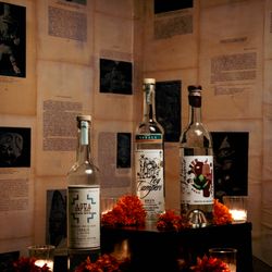 Comala - Selection of Mezcales.
