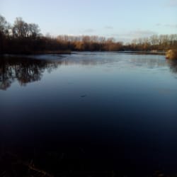 Vijfhoekpark