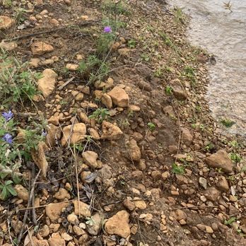 Speegleville Park - Bluebonnets were along the bank by site 25 - Campgrounds Near Me - Waco, Texas Speegleville Park - Bluebonnets were along the bank by site 25 - Campgrounds Near Me - Waco, Texas