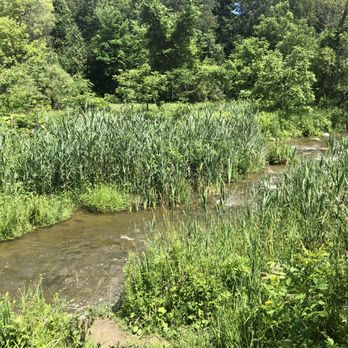 Bob Hunter Memorial Park - The River - Parks Near Me - Markham, Ontario