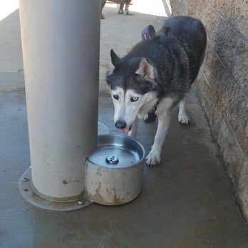 Whittier Dog Park - Dog Parks Near Me - Whittier, California Whittier Dog Park - Dog Parks Near Me - Whittier, California