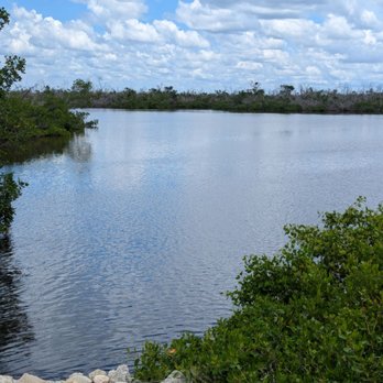 Tarpon Bay Explorers - Rafting/Kayaking Near Me - Sanibel, Florida Tarpon Bay Explorers - Rafting/Kayaking Near Me - Sanibel, Florida