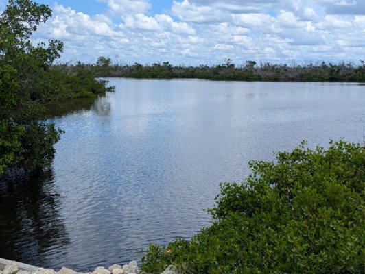 Tarpon Bay Explorers by null