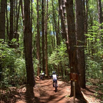Krank Cycles - Kids headed down Lower part of Pineapple Express. - Bike Rentals Near Me - Makawao, Hawaii