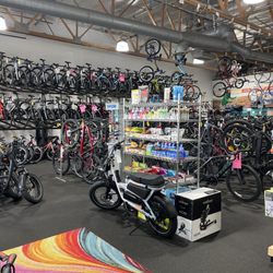 The store