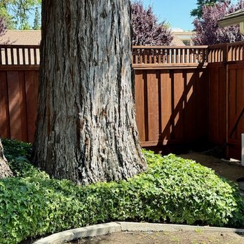 Agellon Fence Restoration - 2025-New Fence Construction-4 - Fences & Gates Near Me - Livermore, California