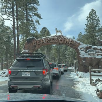 Bearizona - Zoos Near Me - Williams, Arizona