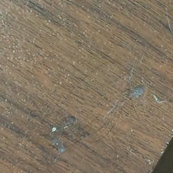 Anytime Fitness - Dust dirt and hair on studio floor. Pulled today off my clothes.