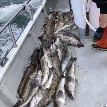 Mutineer Charters - Lingcod - Fishing Near Me - Westport, Washington Mutineer Charters - Lingcod - Fishing Near Me - Westport, Washington