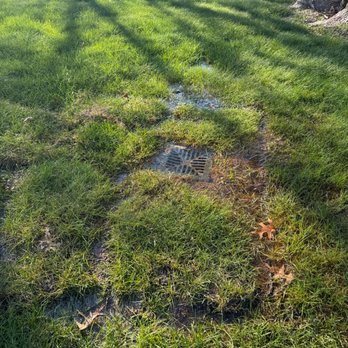Santana's Landscaping - Landscaping Near Me