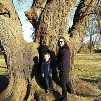Semper Fi Tree Care - Tree Services Near Me Semper Fi Tree Care - Tree Services Near Me