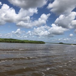 Coastal Backwater Adventures