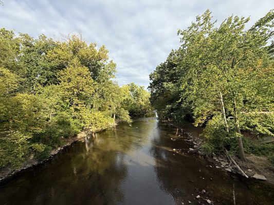 Michigan State University by null