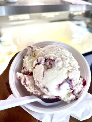 Sunni Sky's Homemade Ice Cream by null