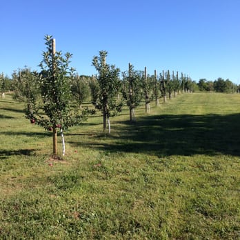 Karnes Orchard - The trees are the perfect size to pick your own! - Fruits & Veggies Near Me - Hillsboro, Ohio Karnes Orchard - The trees are the perfect size to pick your own! - Fruits & Veggies Near Me - Hillsboro, Ohio
