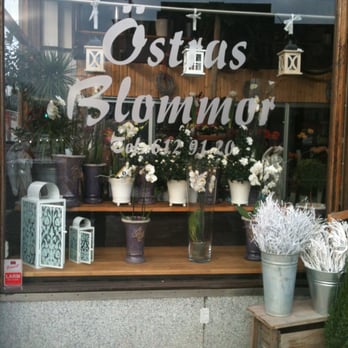 Östras Blommor - Florists Near Me - Stockholm, Alberta Östras Blommor - Florists Near Me - Stockholm, Alberta