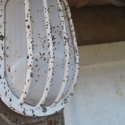 Barrier Island Station - Outdoor lights all look like this - some worse.