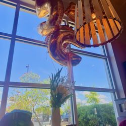 First Watch - Birthday balloons