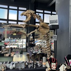Good Earth Rocks Gallery - Bear!