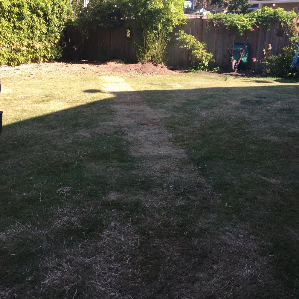 American Bamboo - These are the marks left after they laid out the barrier and left it in the sun. - Fences & Gates Near Me American Bamboo - These are the marks left after they laid out the barrier and left it in the sun. - Fences & Gates Near Me