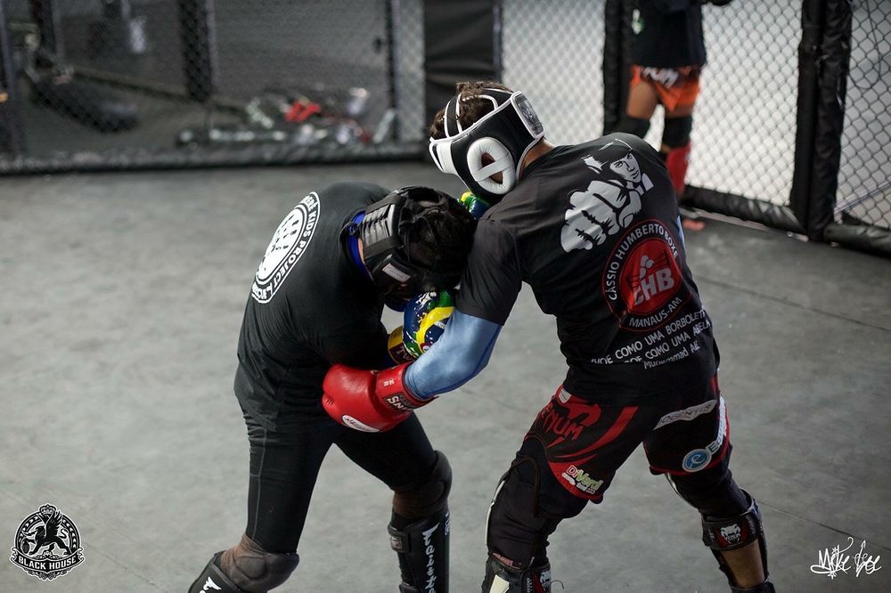 Private Martial Arts Logo