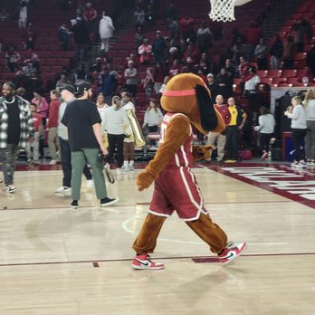 Lloyd Noble Center - Top Daug - Stadiums & Arenas Near Me - Norman, Oklahoma