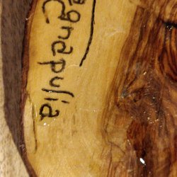 Magnapulia