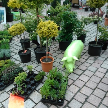 Suhler Frühling - Pflanzen aller Art - General Festivals Near Me - Suhl, TH
