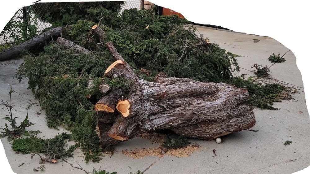 IRON TREE SERVICE Updated September 2024 Fountain Valley